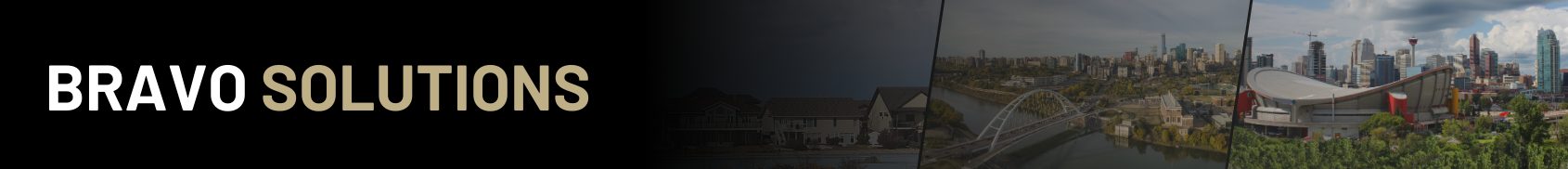 Bravo Solutions Banner 2