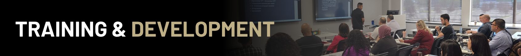 Banners Bravo Solutions Training Jun 03 Banners Bravo Solutions Training Jun 03