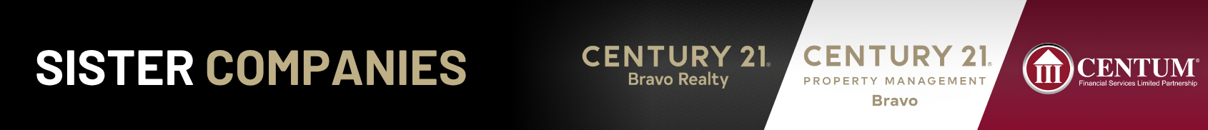 Banners Bravo Solutions Banners Bravo Solutions