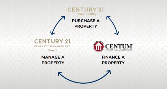 Bravo Solutions Cover Boxes Right Size (532 x 285 px) - Without Titles (2)
