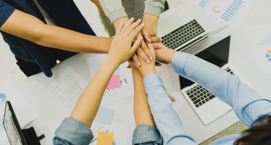 Bravo Solutions Cover Boxes Right Size (532 x 285 px) - Without Titles (3)